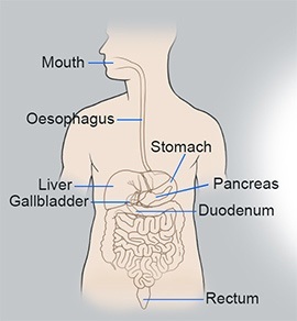 gastrointestinal-cancer-condition-gary-crosthwaite